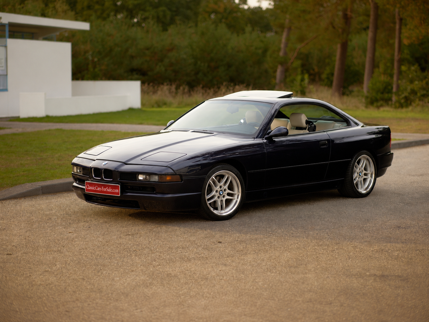 Read more about the article BMW 850 CSi